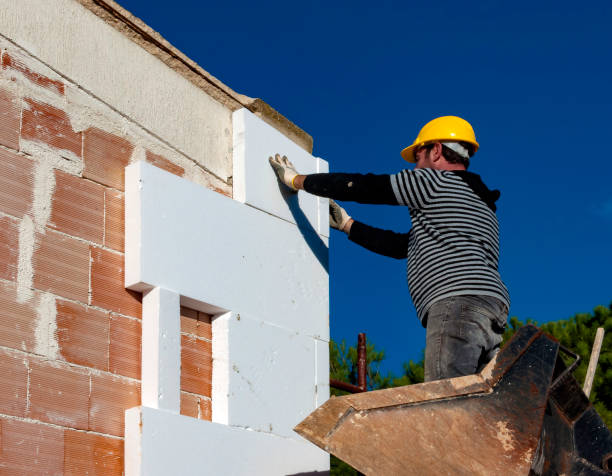 Best Insulation for New Construction  in Sterling Ranch, CO