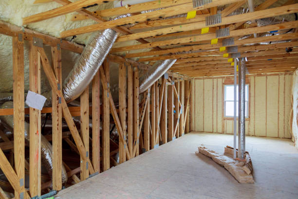 Best Insulation Removal  in Sterling Ranch, CO