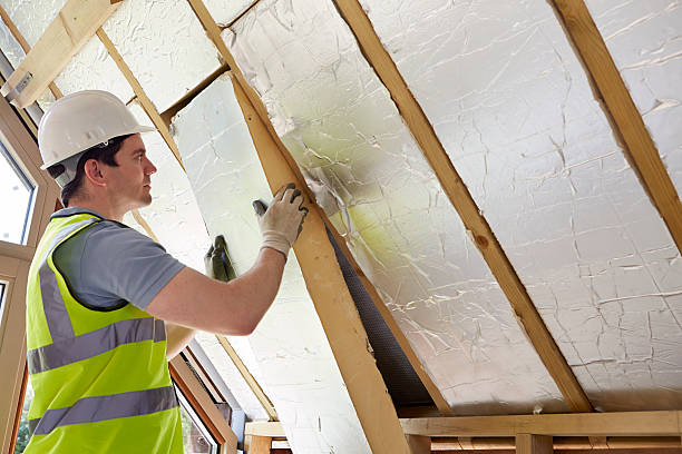 Best Professional Insulation Contractor  in Sterling Ranch, CO